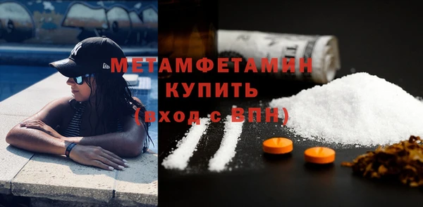 прущие грибы Бородино