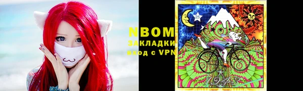 прущие грибы Бородино
