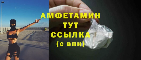 прущие грибы Бородино