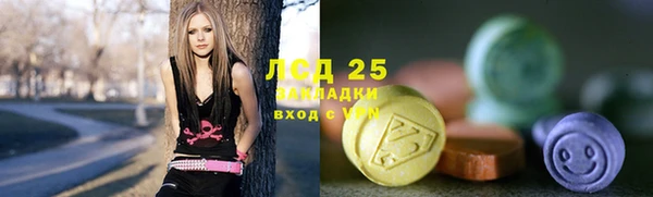 прущие грибы Бородино