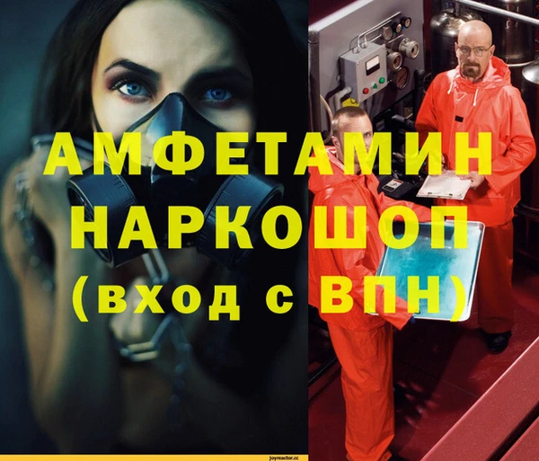 прущие грибы Бородино