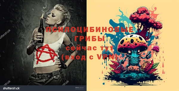 эйфоретик Бронницы