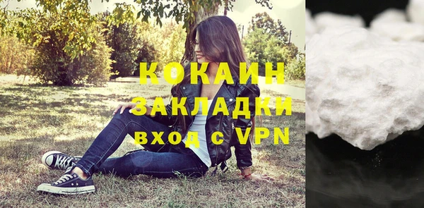 прущие грибы Бородино