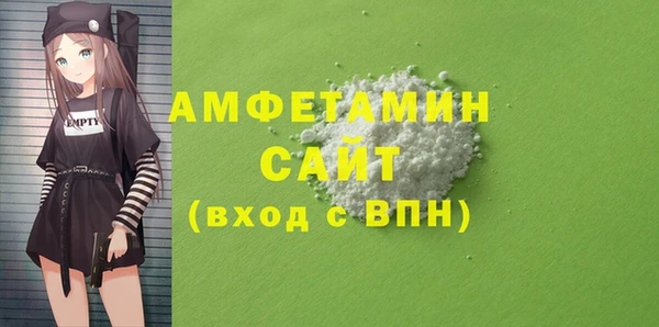 прущие грибы Бородино