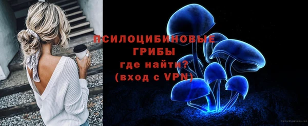 прущие грибы Бородино