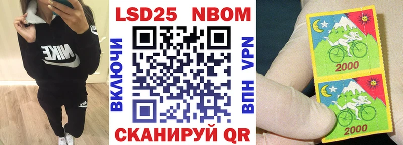 Марки N-bome 1,8мг  где найти   Кедровый 